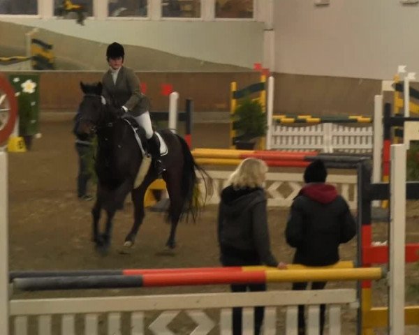 Hallenreitturnier RV Giebelwald 2013