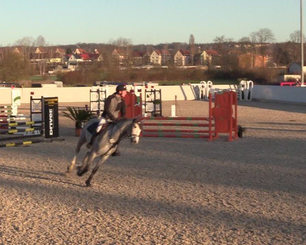 Reitturnier Zwickauer Winter Edition 2025