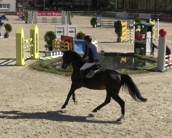 Reitturnier Balve-Wocklum 2025