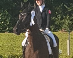 Cavallo Miss Mombasa (KWPN (Warmblood olandese), 2017, di Farrell)