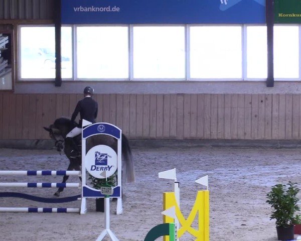 Reitturnier Niebüll 2025