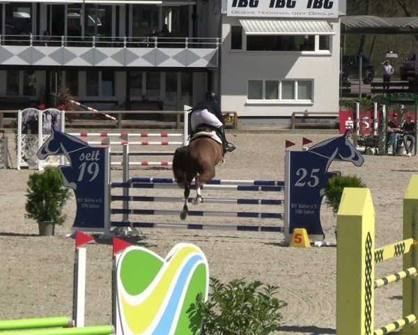 Reitturnier Balve-Wocklum 2025