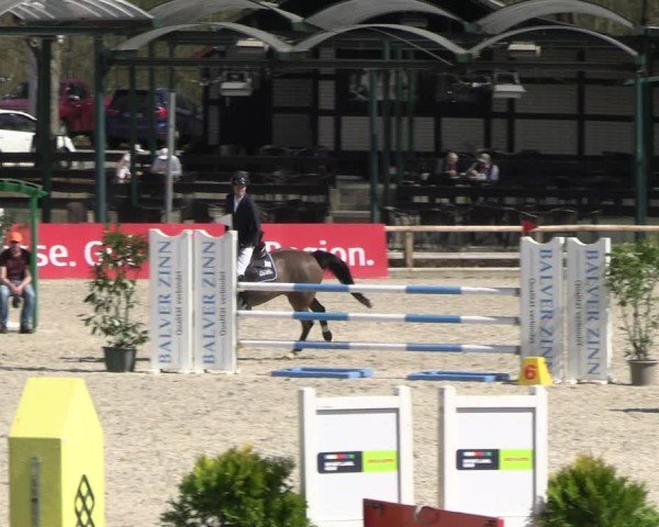 Reitturnier Balve-Wocklum 2025