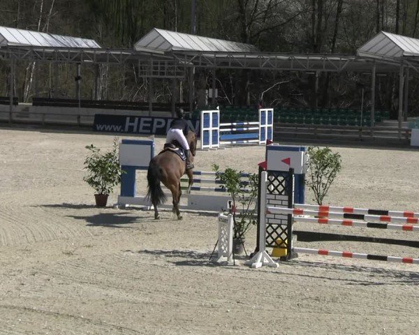 Reitturnier Balve-Wocklum 2025