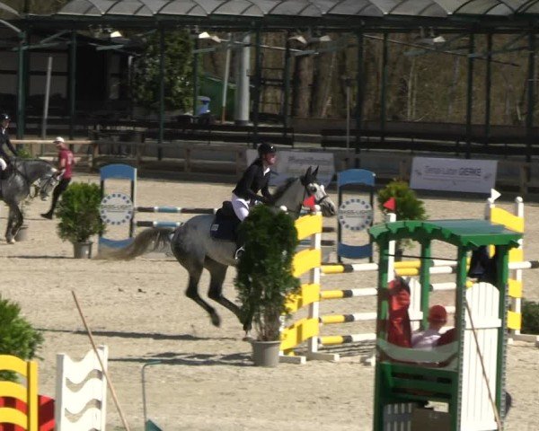 Reitturnier Balve-Wocklum 2025