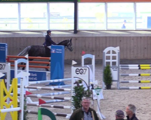 Reitturnier Niebüll 2025
