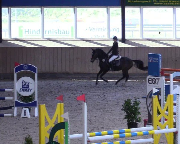 Reitturnier Niebüll 2025
