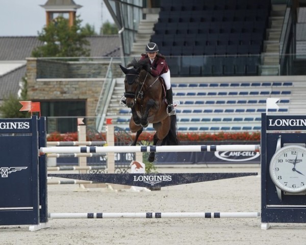 jumper Sixtina 6 (Hanoverian, 2013, from Stakkato)