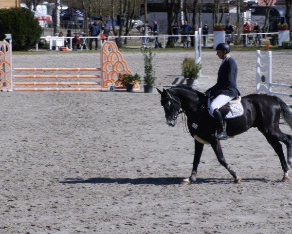 Reitturnier Richelsdorf 2025