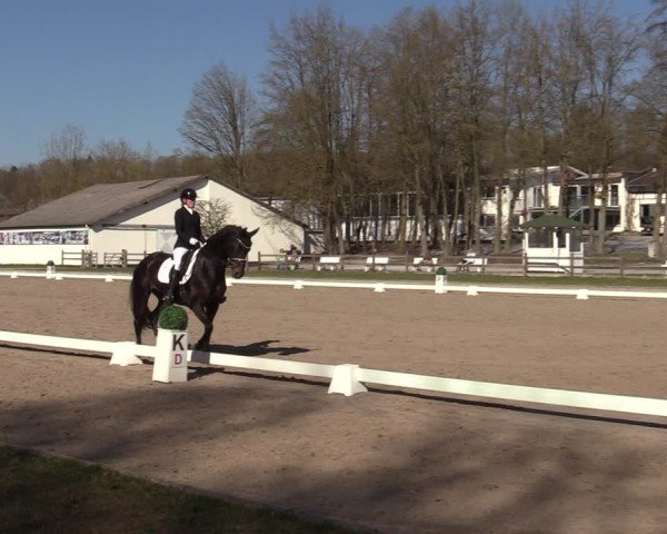 Reitturnier Balve-Wocklum 2025