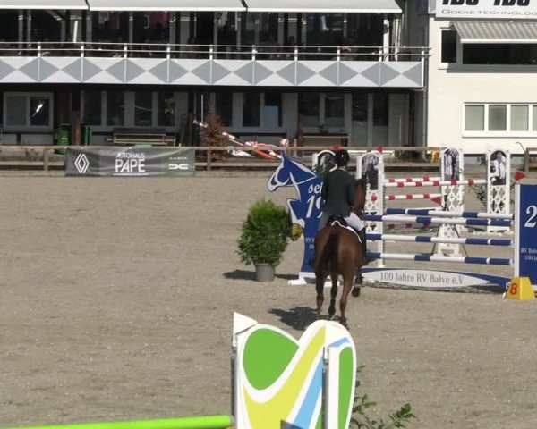 Reitturnier Balve-Wocklum 2025