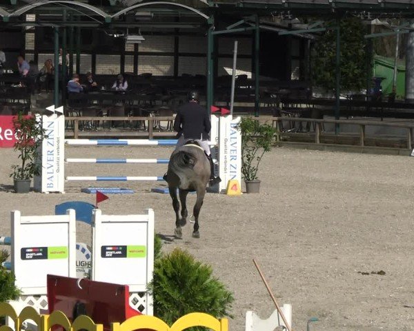 Reitturnier Balve-Wocklum 2025