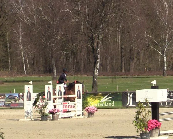 Reitturnier Westergellersen 2025