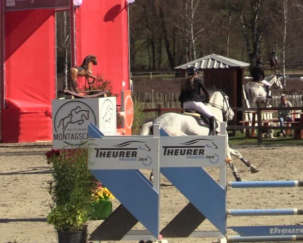 Reitturnier Westergellersen 2025