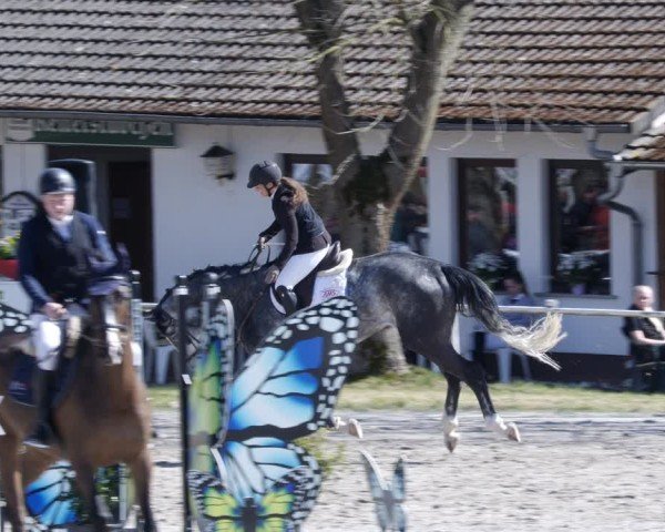 Reitturnier Richelsdorf 2025