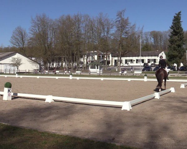 Reitturnier Balve-Wocklum 2025
