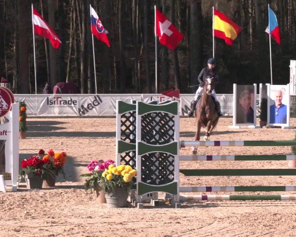 Reitturnier Ranshofen - Braunau am Inn 2025