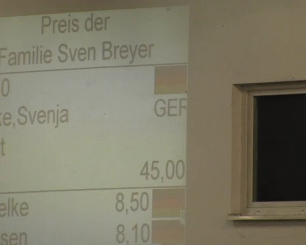 Hallenreitturnier RV Giebelwald 2013