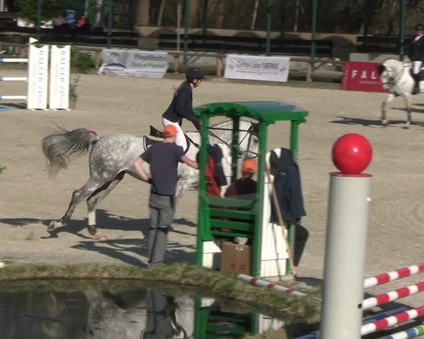 Reitturnier Balve-Wocklum 2025