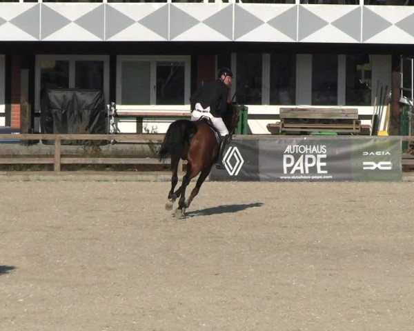 Reitturnier Balve-Wocklum 2025