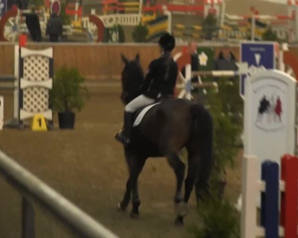 Hallenreitturnier RV Giebelwald 2013
