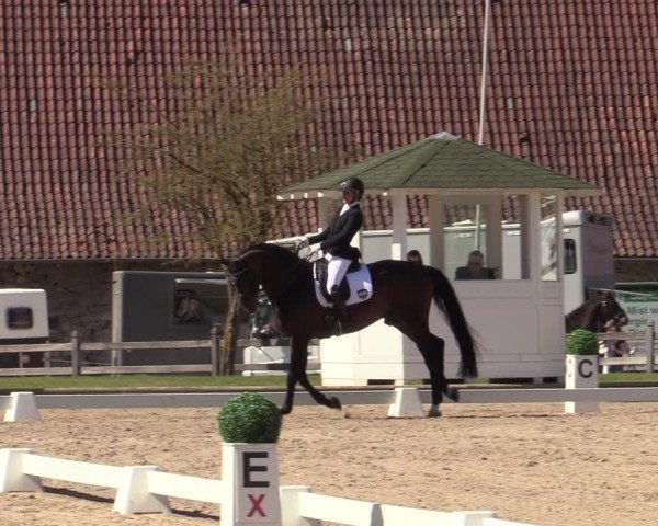 Reitturnier Balve-Wocklum 2025