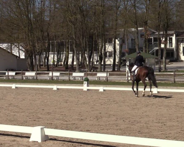 Reitturnier Balve-Wocklum 2025