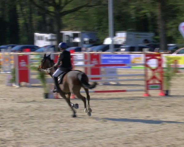 Reitturnier Borken 2025