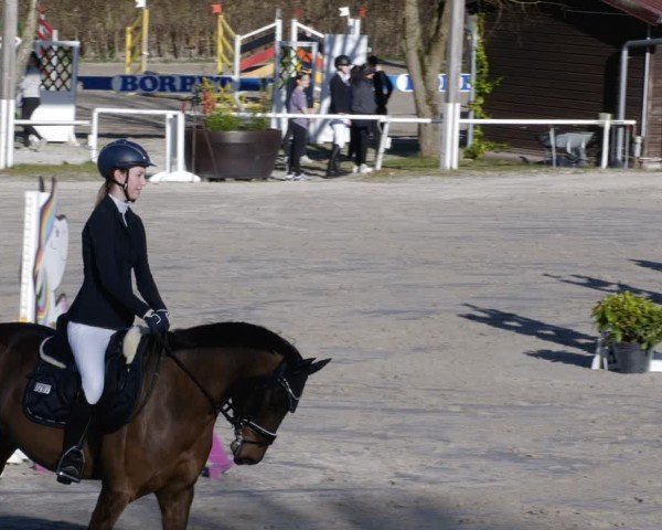 Reitturnier Richelsdorf 2025