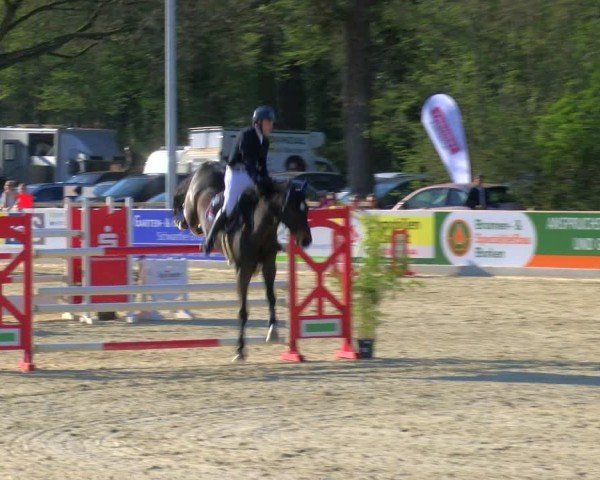 Reitturnier Borken 2025
