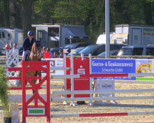 Reitturnier Borken 2025