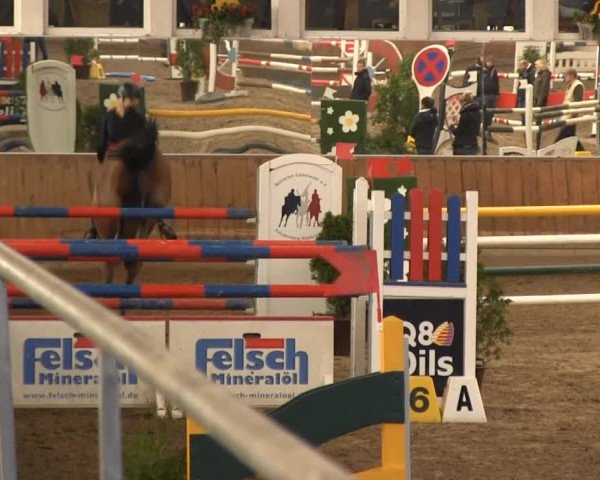 Hallenreitturnier RV Giebelwald 2013