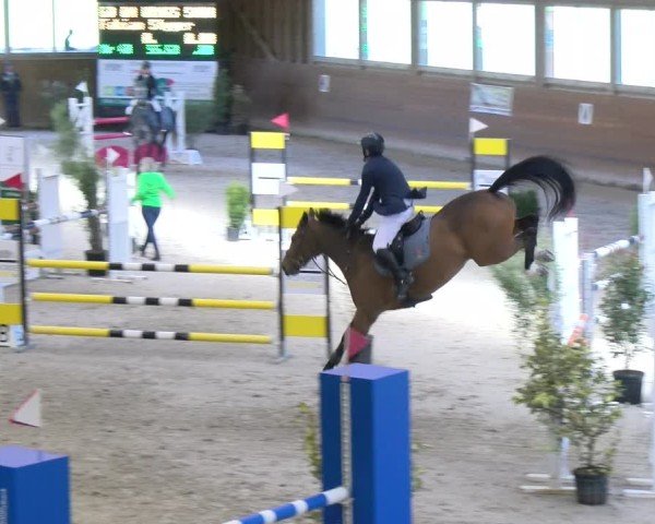 Reitturnier Rüti ZH 2025