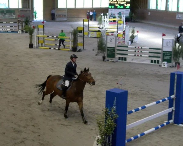 Reitturnier Rüti ZH 2025