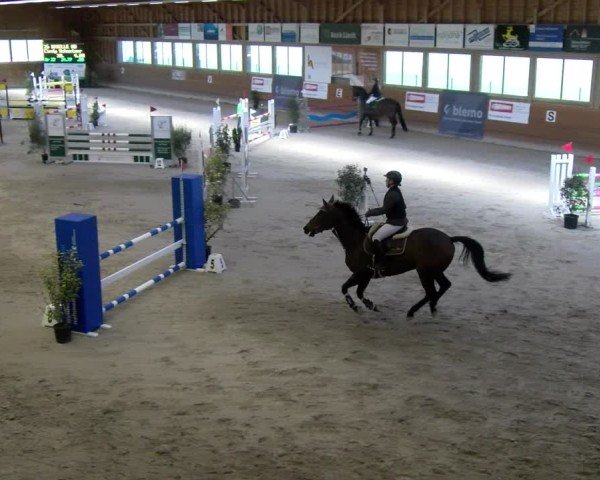 Reitturnier Rüti ZH 2025