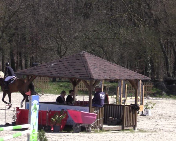 Reitturnier Pietzpuhl 2025