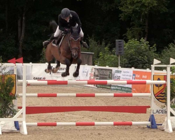 Springpferd Uptown Boy G (Holsteiner, 2015, von Uriko)