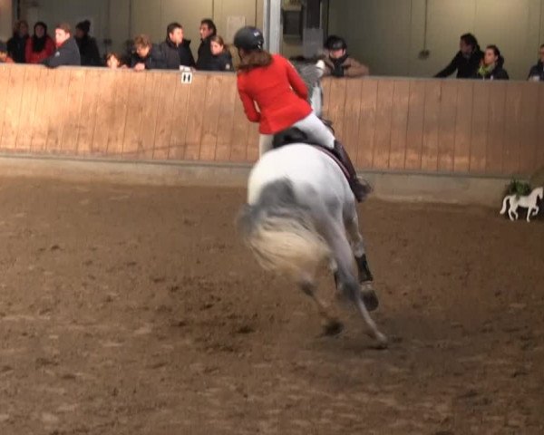 Hallenreitturnier RV Giebelwald 2013