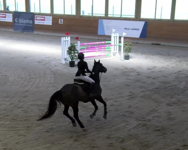 Reitturnier Rüti ZH 2025