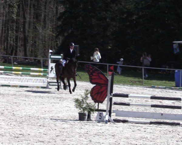 Reitturnier Pietzpuhl 2025