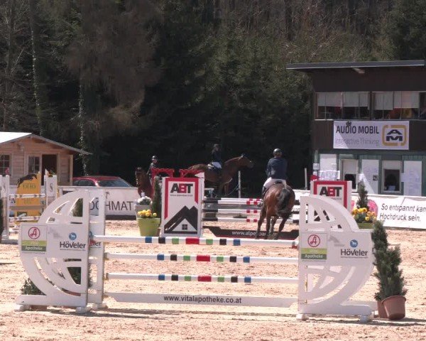 Reitturnier Ranshofen - Braunau am Inn 2025