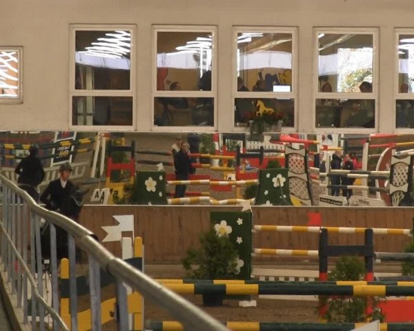 Hallenreitturnier RV Giebelwald 2013