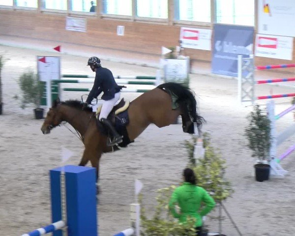 Reitturnier Rüti ZH 2025