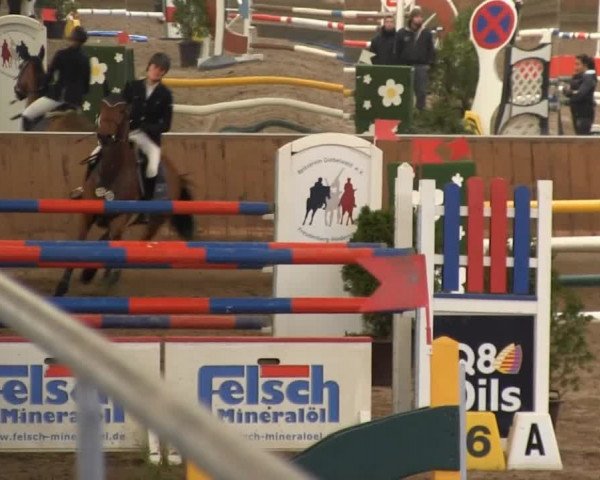 Hallenreitturnier RV Giebelwald 2013