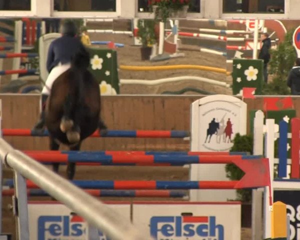 Hallenreitturnier RV Giebelwald 2013