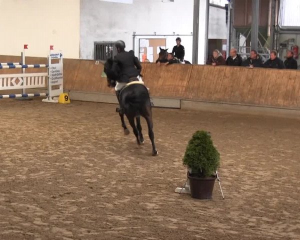 Hallenreitturnier RV Giebelwald 2013