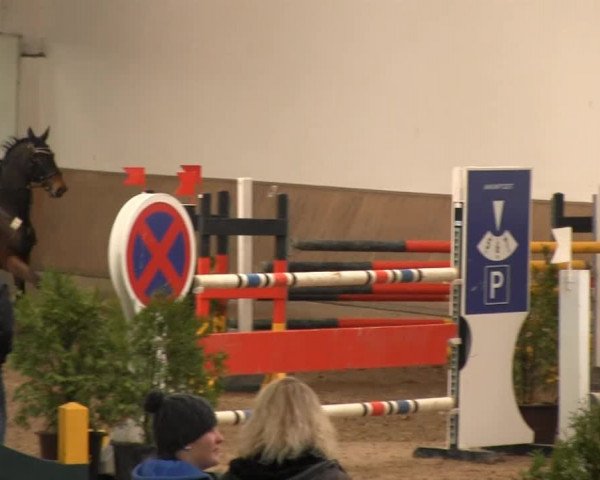 Hallenreitturnier RV Giebelwald 2013