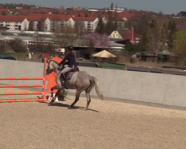 Reitturnier Zwickauer Winter Edition 2025