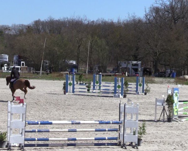 Reitturnier Pietzpuhl 2025