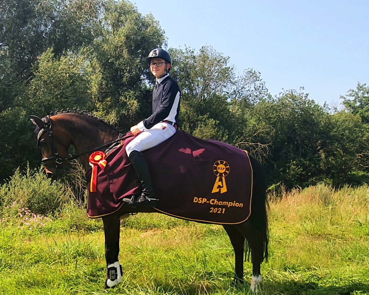 jumper PSW Pocahontas (German Riding Pony, 2016, from PSW Pitu)